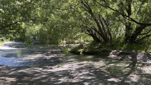 Arrow River Trail (Arrowtown)(1/5)