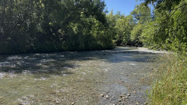 Arrow River Trail (Arrowtown)(1/5)